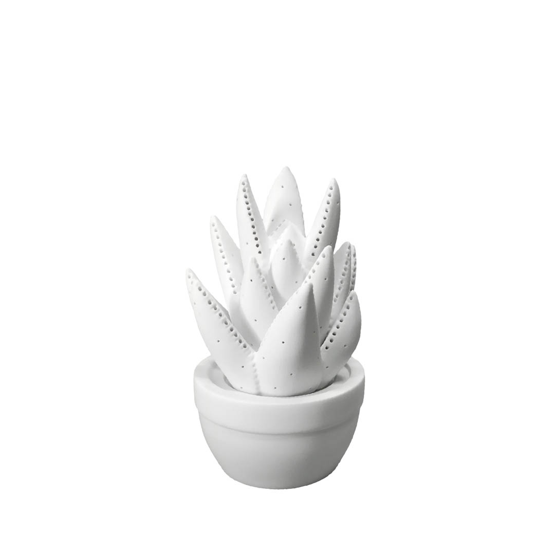 PORCELAIN ALOE LIGHT M.WHITE