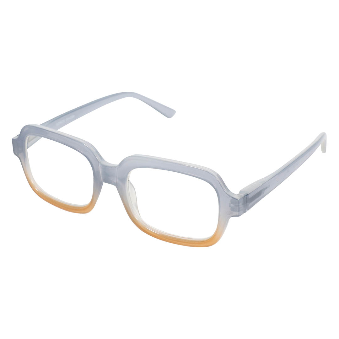 READING GLASSES BLUE/ORANGE 1.0