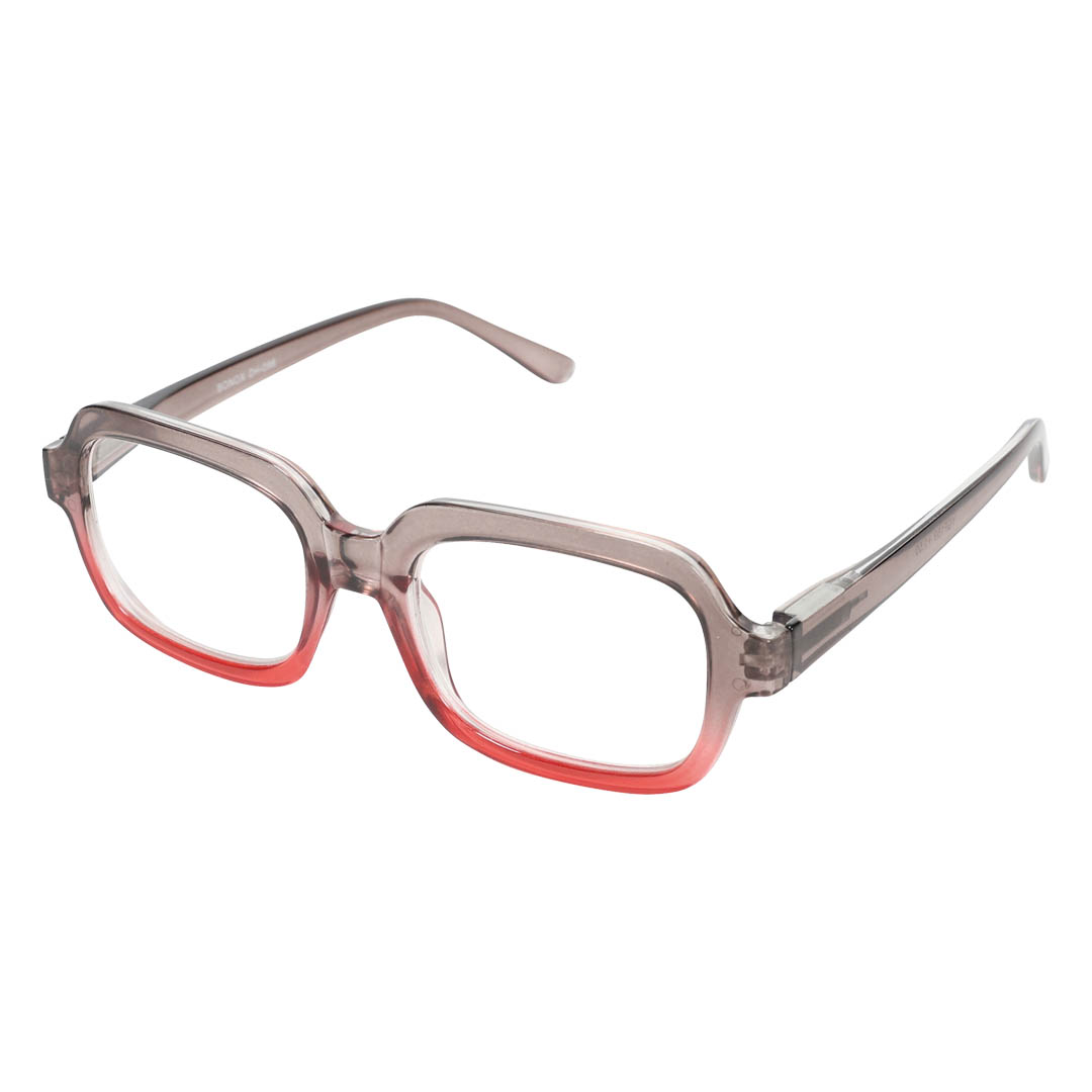 READING GLASSES GRAY/RED 1.0