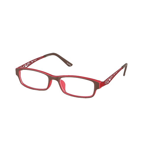 READING GLASSES BROWN/RED 2.0