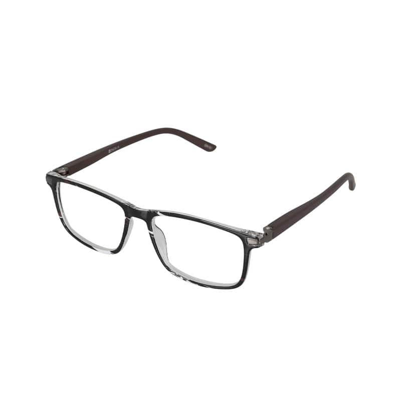 READING GLASSES BROWN 2.0