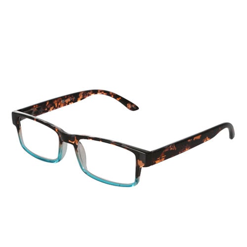 READING GLASSES BR/LB