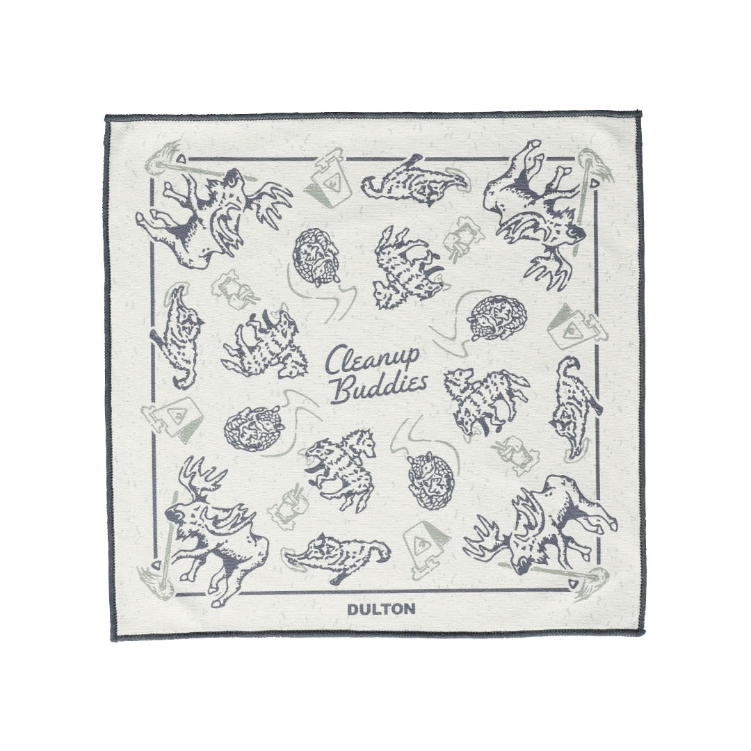 LENS & SCREEN CLEANUP BUDDIES GRAY