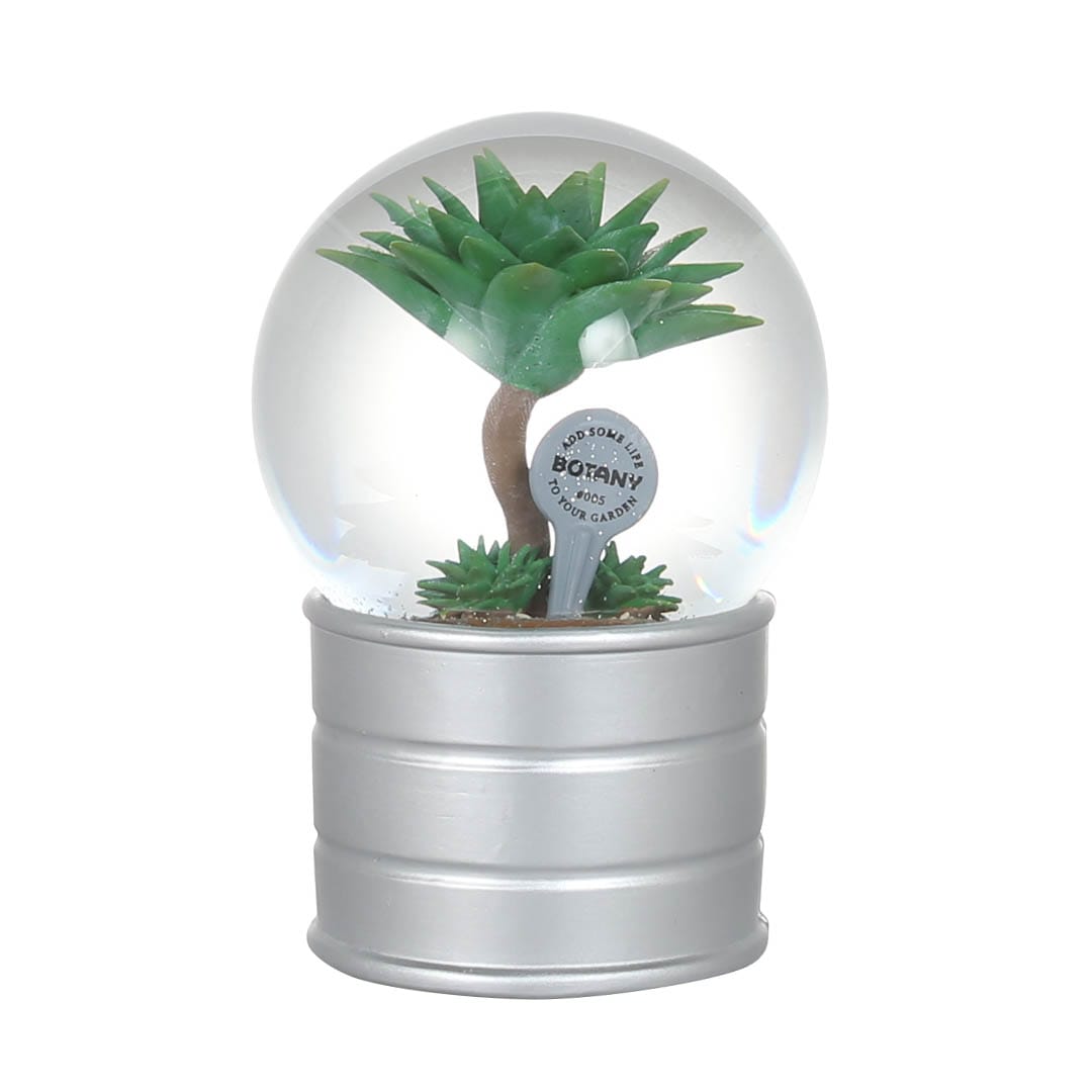 PLANTS WATER GLOBE ATTENUATA