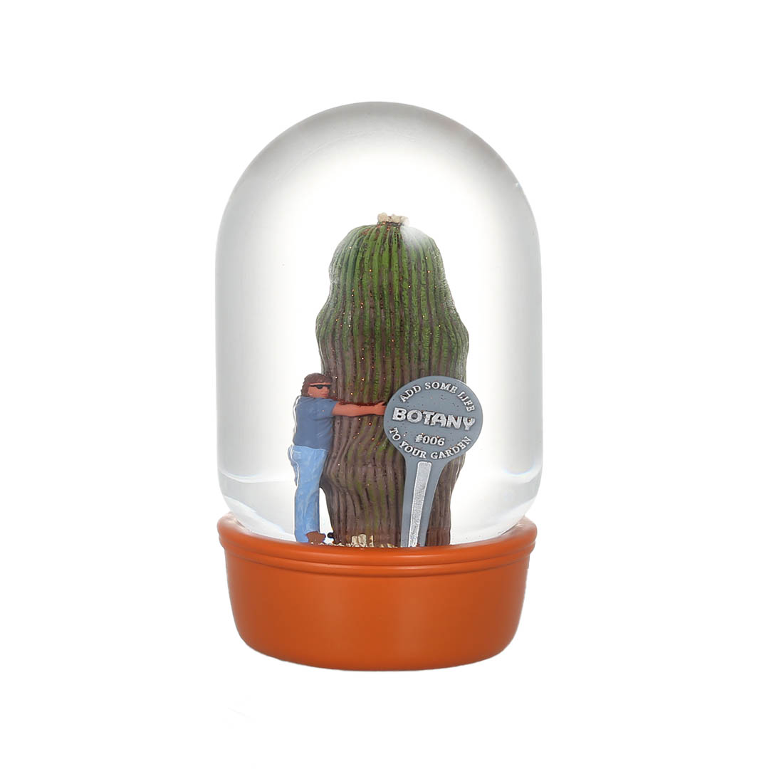 PLANTS WATER GLOBE CACTUS WITH MAN