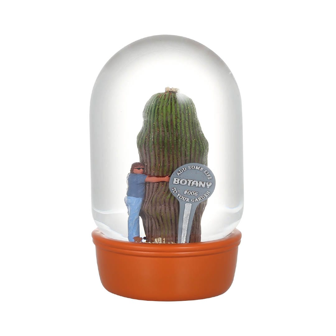 PLANTS WATER GLOBE CACTUS WITH MAN