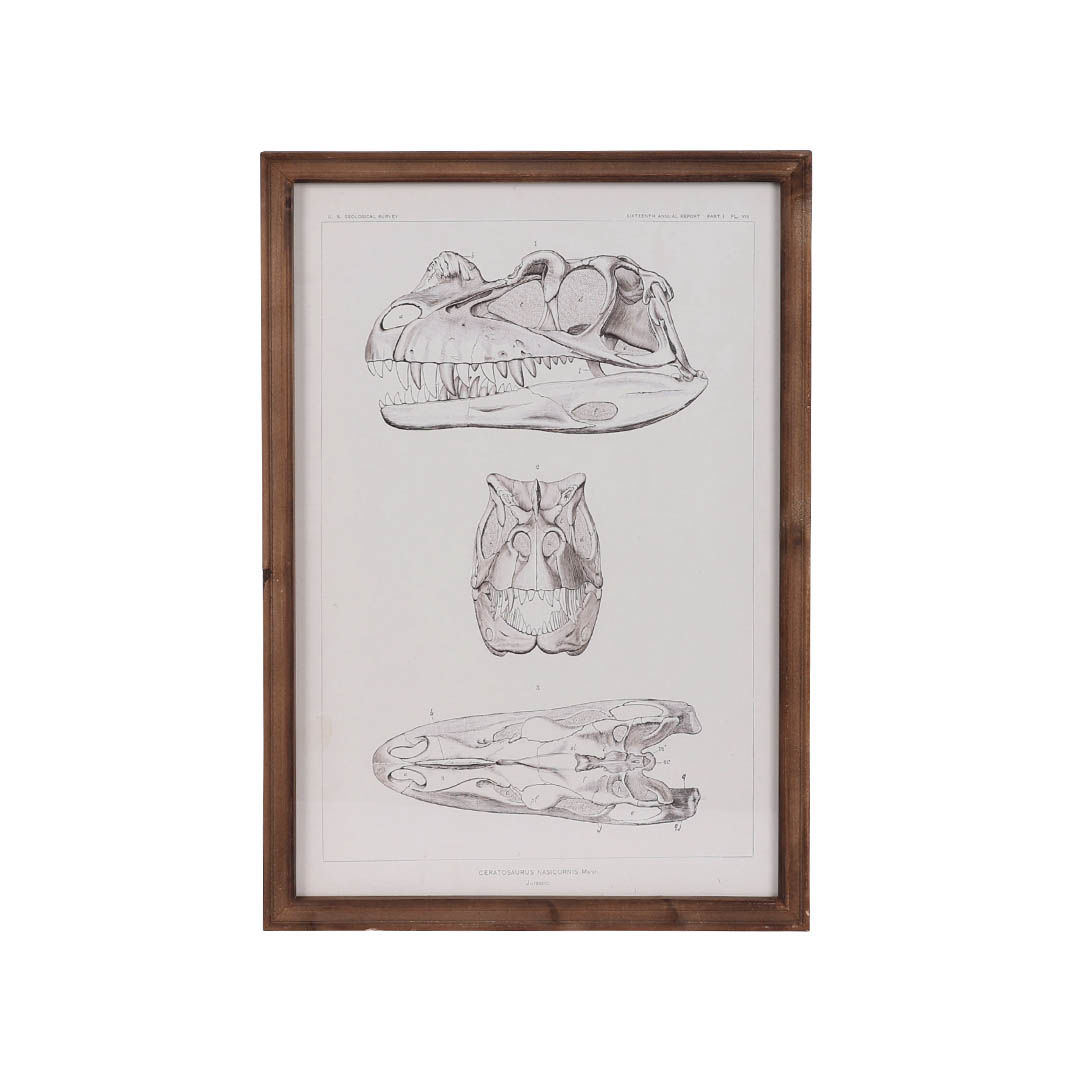 ART FRAME CERATOSAURUS