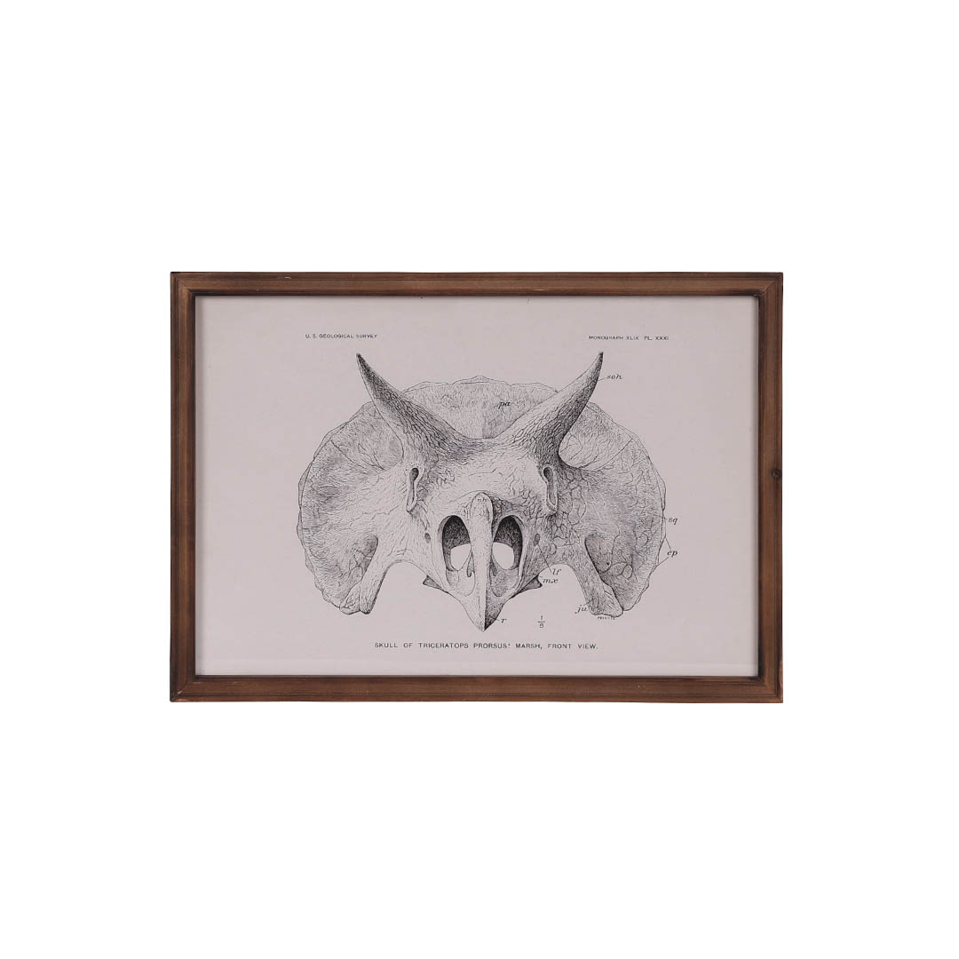 ART FRAME TRICERATOPS
