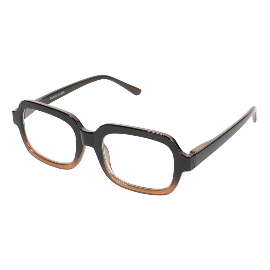 READING GLASSES BLACK/BROWN 1.0