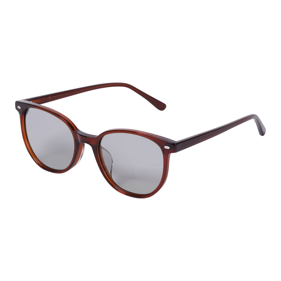 GLASS WITH COLOR LENS BROWN/GRAY