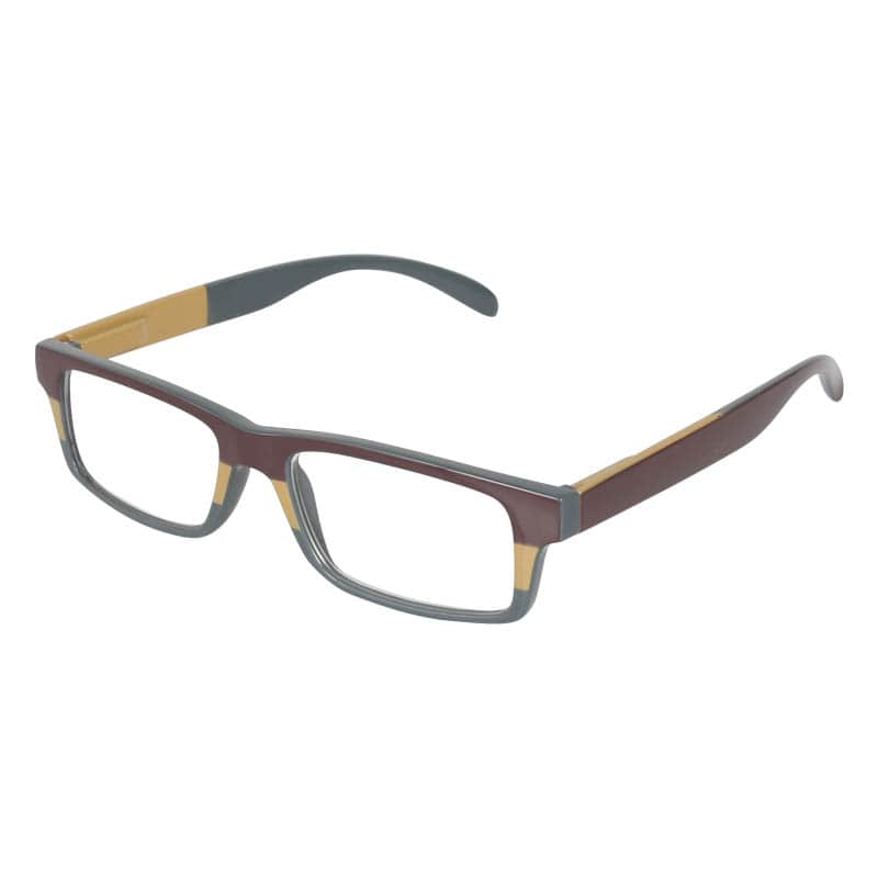 READING GLASSES BR/GY