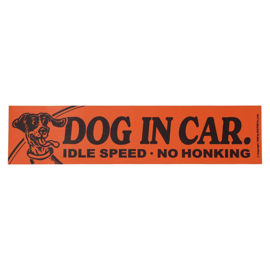 CAR MESSAGE MAGNET DOG IN CAR